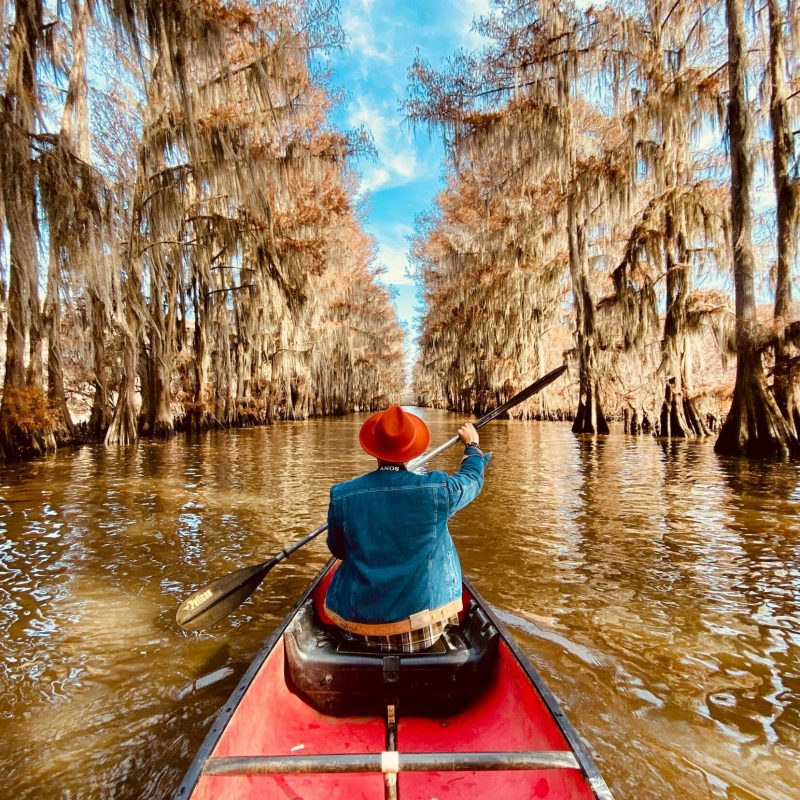 pexels andyhvu 3283121